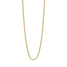 Load image into Gallery viewer, Fred Bennet Stainless Steel Gold Plated 55cm Cable Link Necklace