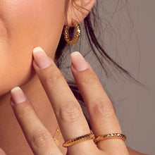 Load image into Gallery viewer, Hot Diamonds Gold Edit Believe Earrings