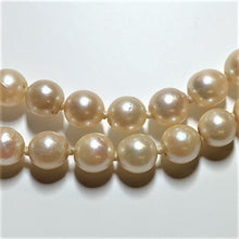 Load image into Gallery viewer, Secondhand Cultured Pearl Double Row Necklace - 14"