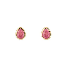 Load image into Gallery viewer, Silver Birthstone Earrings - Gold Plated