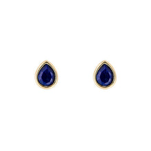 Load image into Gallery viewer, Silver Birthstone Earrings - Gold Plated