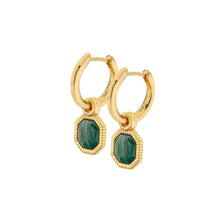 Load image into Gallery viewer, Hot Diamonds Gold Edit Revive Malacite Earrings