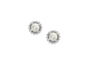Silver Birthstone Earrings - June