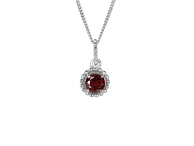 Silver Birthstone Necklace - January