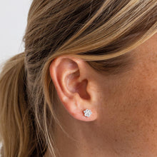 Load image into Gallery viewer, Silver Cubic Zirconia Paw Print Stud Earrings
