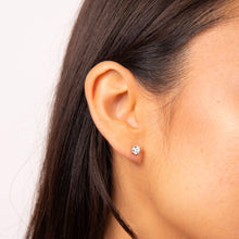Load image into Gallery viewer, Diamonfire Gold Plated Cubic Zirconia Studs
