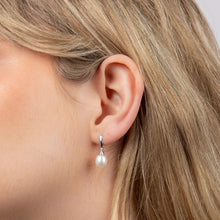 Load image into Gallery viewer, 9ct White Gold Freshwater Pearl Drop Earrings

