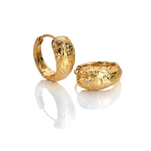 Load image into Gallery viewer, Hot Diamond Gold Edit Muse Earrings
