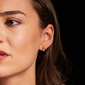 Hot Diamonds Gold Edit Revolve Hoops