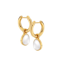 Load image into Gallery viewer, Hot Diamonds Gold Edit Calm Mother Of Pearl Drop Earrings
