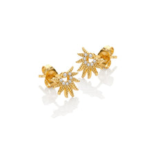 Load image into Gallery viewer, Hot Diamonds Gold Edit SOL Stud Earrings
