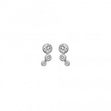 Load image into Gallery viewer, Tender earrings
