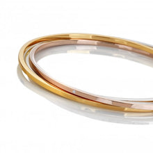 Load image into Gallery viewer, Hot Diamonds Trio Bangle - Tri-colour
