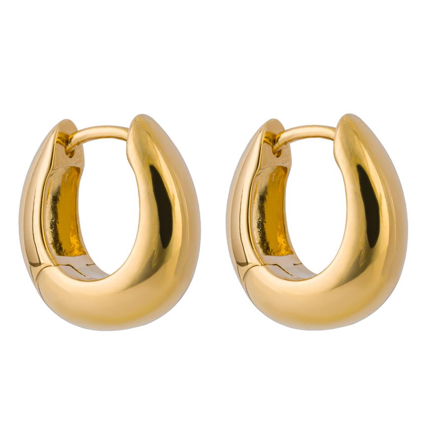 Silver and Gold Plate Graduating Huggie Hoop Earrings