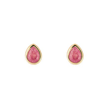 Load image into Gallery viewer, Silver Birthstone Earrings - Gold Plated
