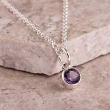 Load image into Gallery viewer, Lily Charmed February Birthstone Necklace - Amethyst
